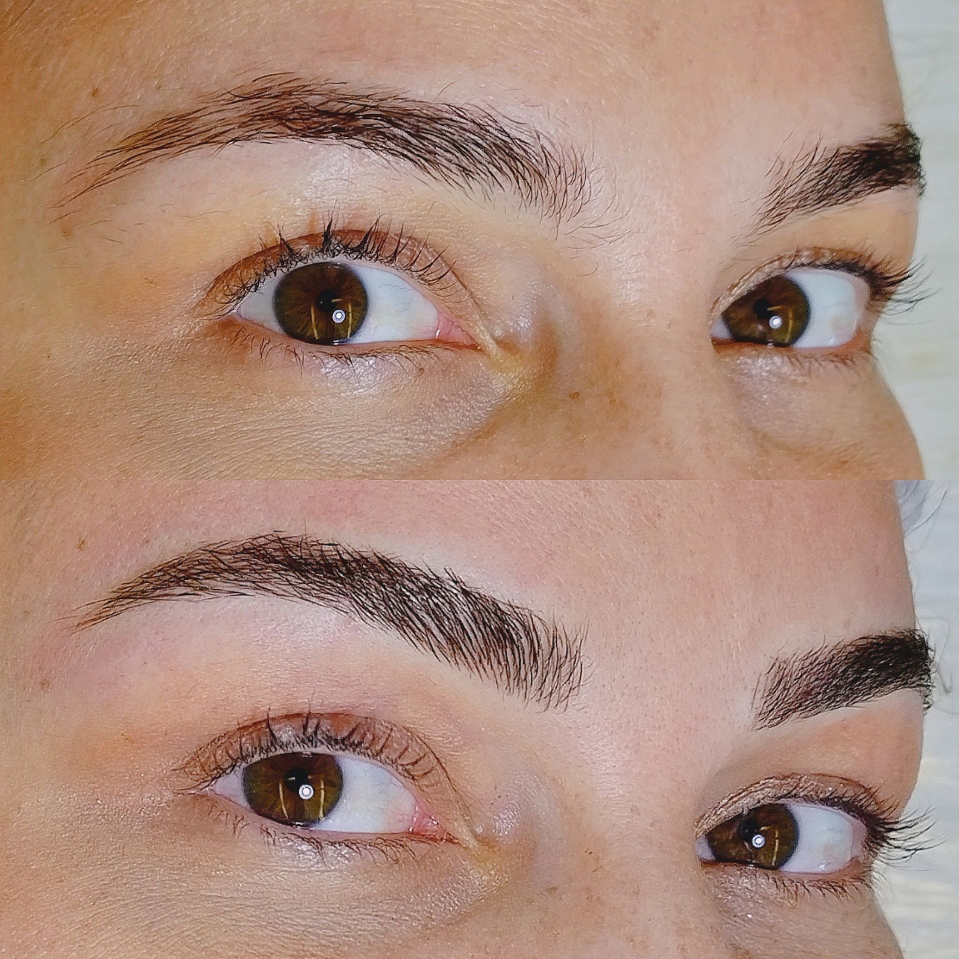 Nanoblading - Melissa Medeiros - Mell Medeiros