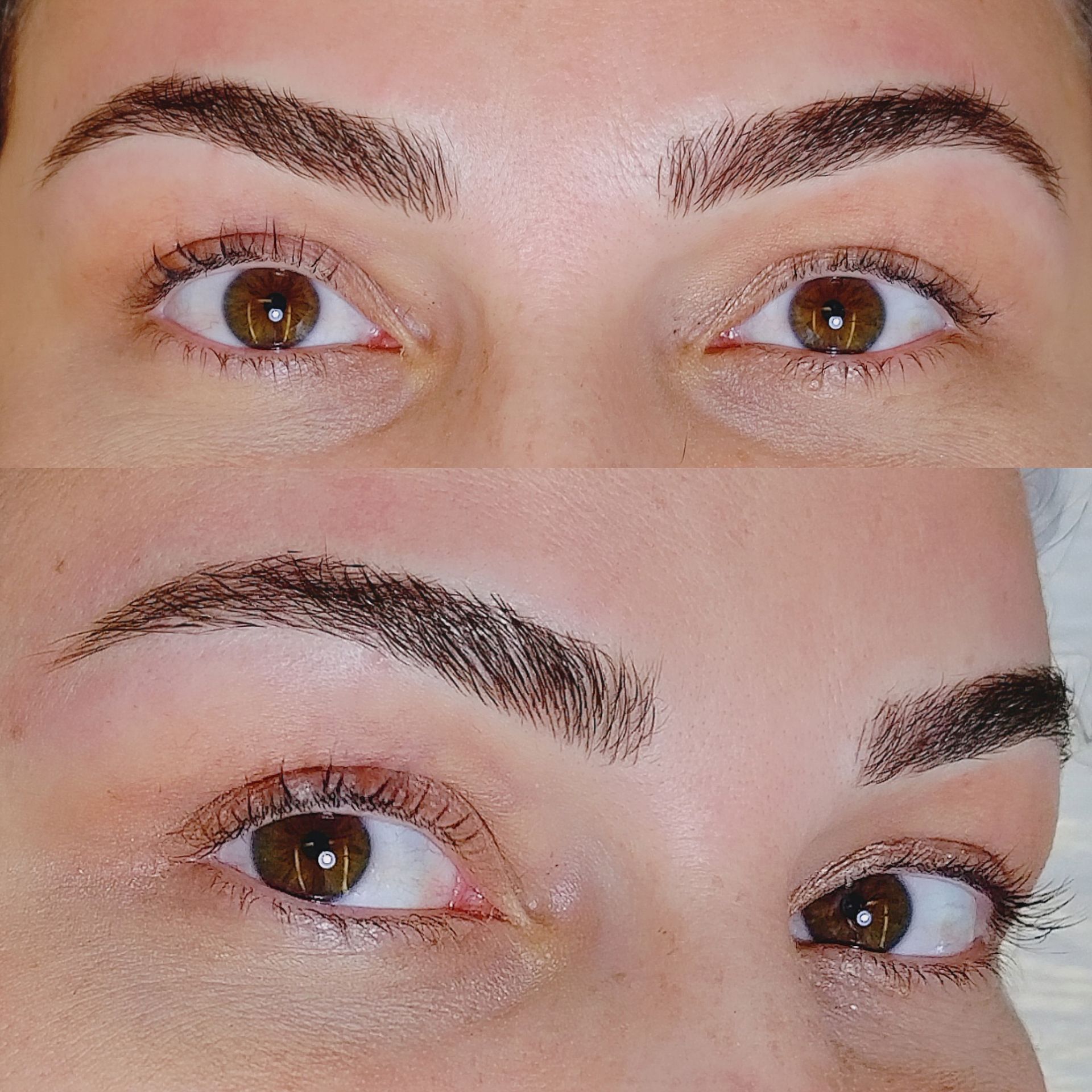 Nanoblading - Melissa Medeiros - Mell Medeiros