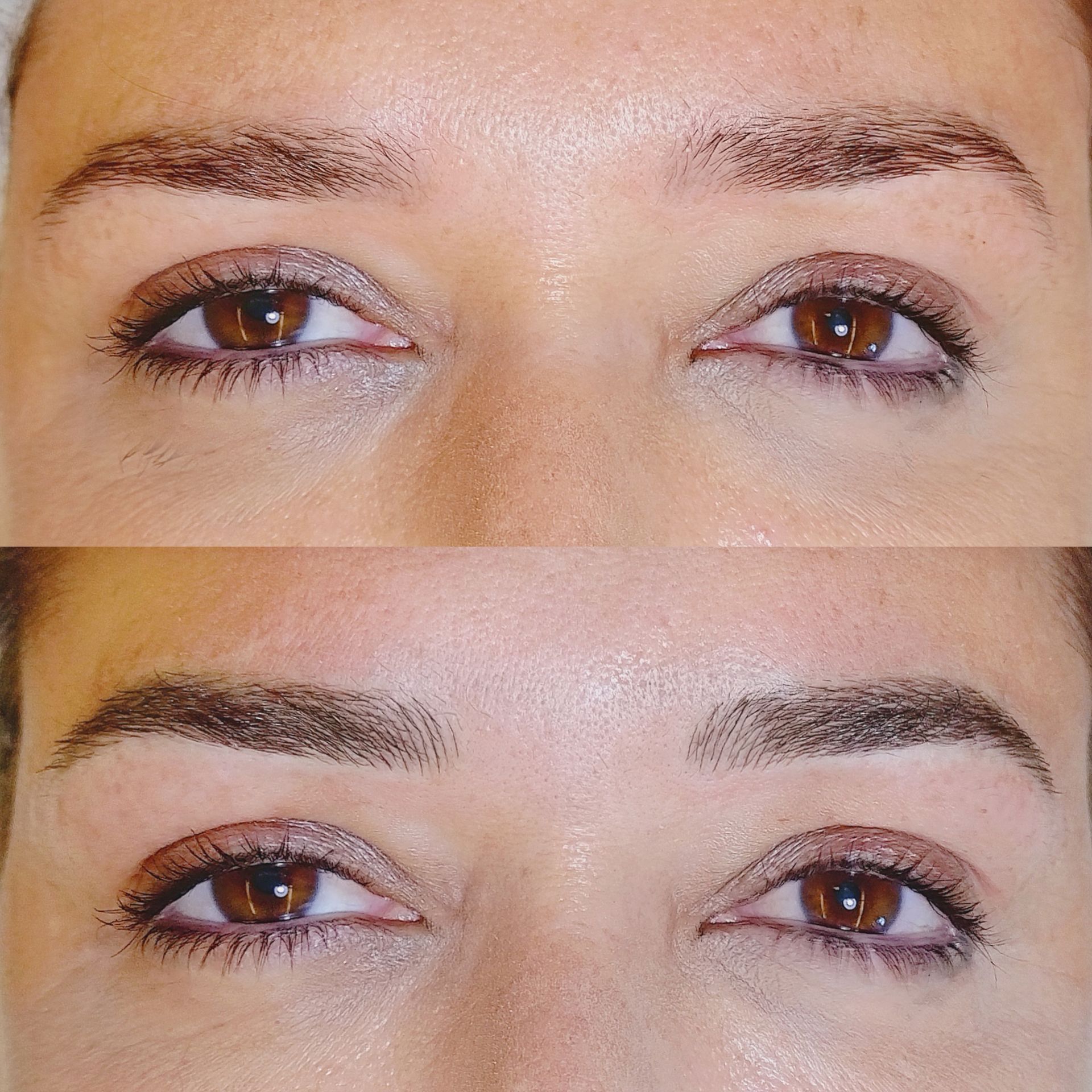 Microblading - Melissa Medeiros - Mell Medeiros
