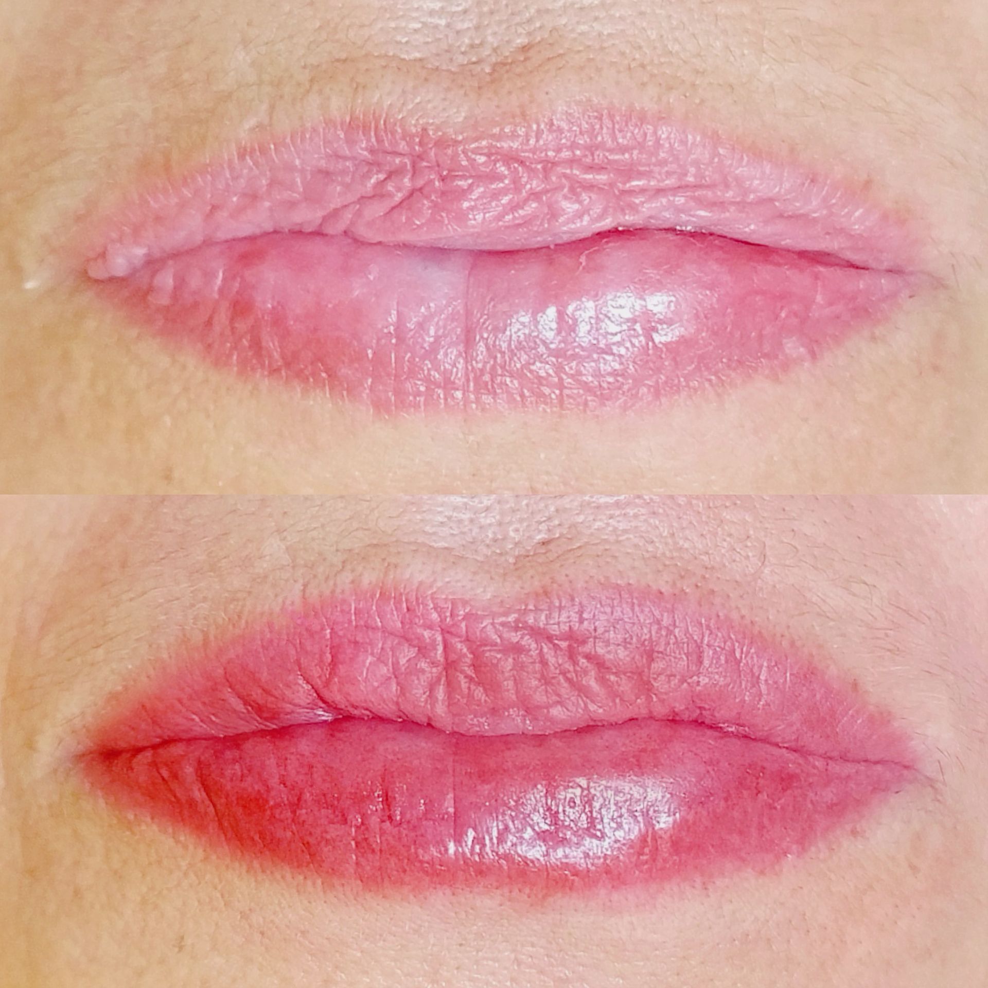 Micropigmentation des Lèvres (Lip Blush) - Melissa Medeiros - Mell Medeiros