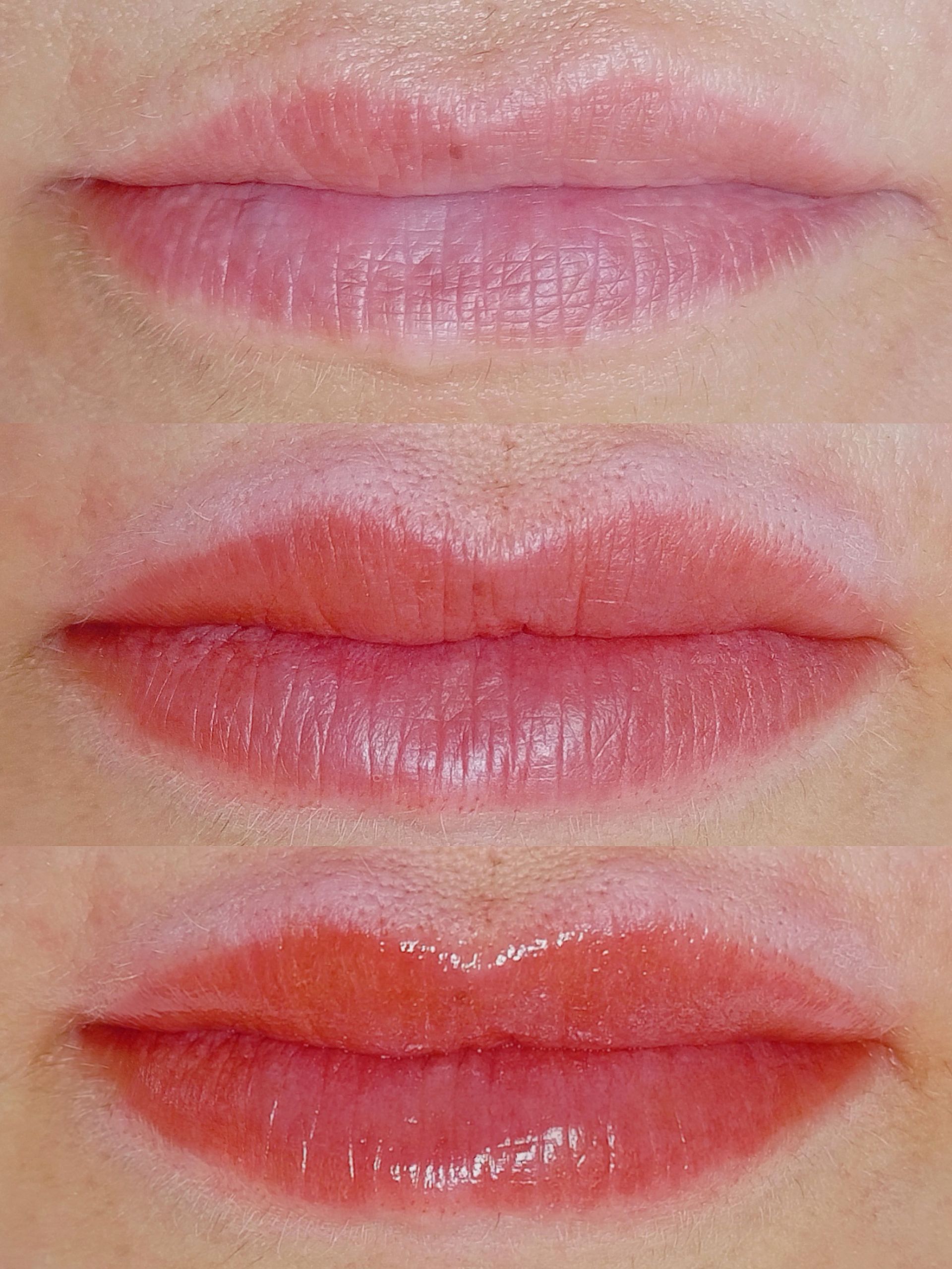 Micropigmentation des Lèvres (Lip Blush)- Melissa Medeiros - Mell Medeiros