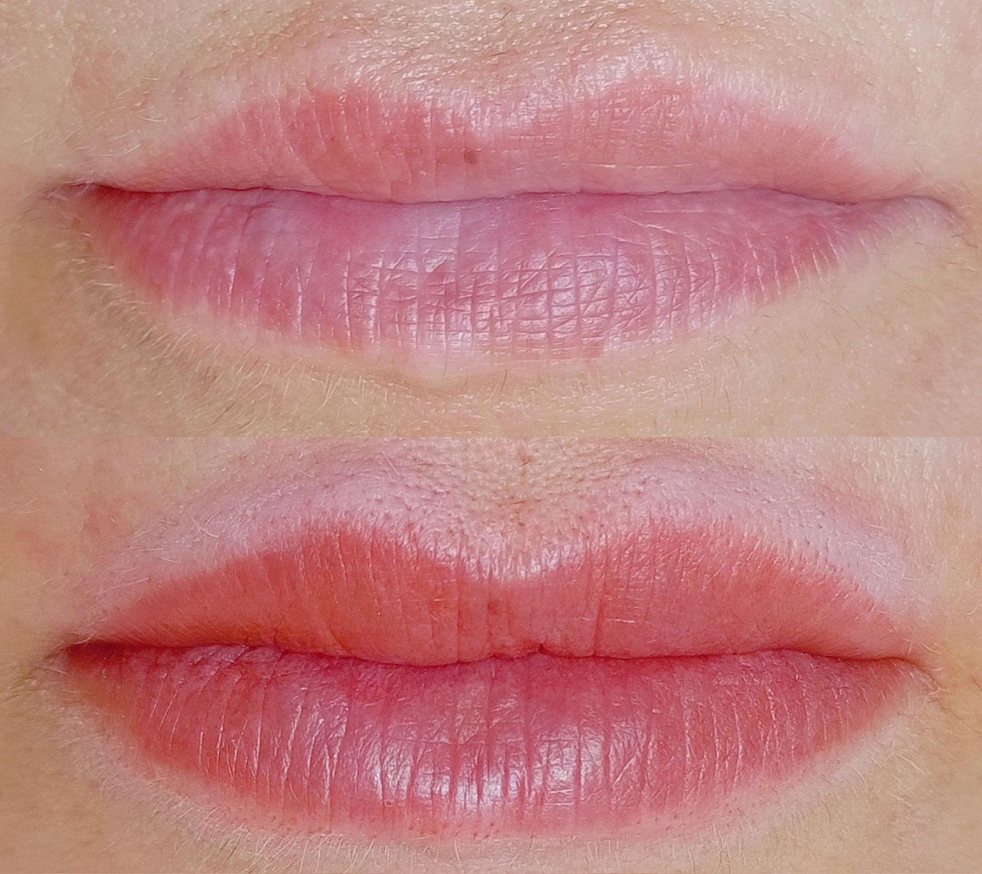 Micropigmentation des Lèvres (Lip Blush) - Melissa Medeiros - Mell Medeiros