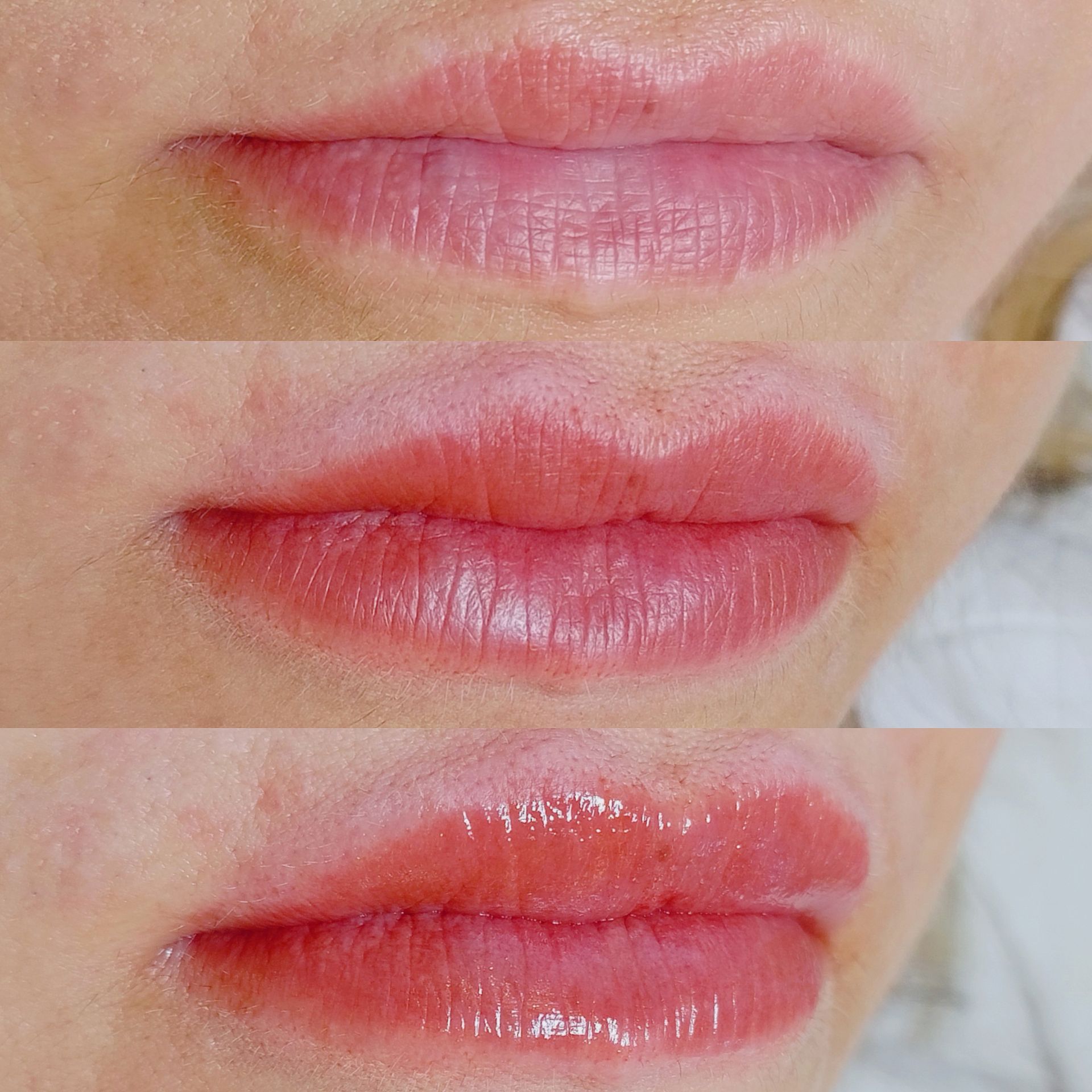 Micropigmentation des Lèvres (Lip Blush) - Melissa Medeiros - Mell Medeiros