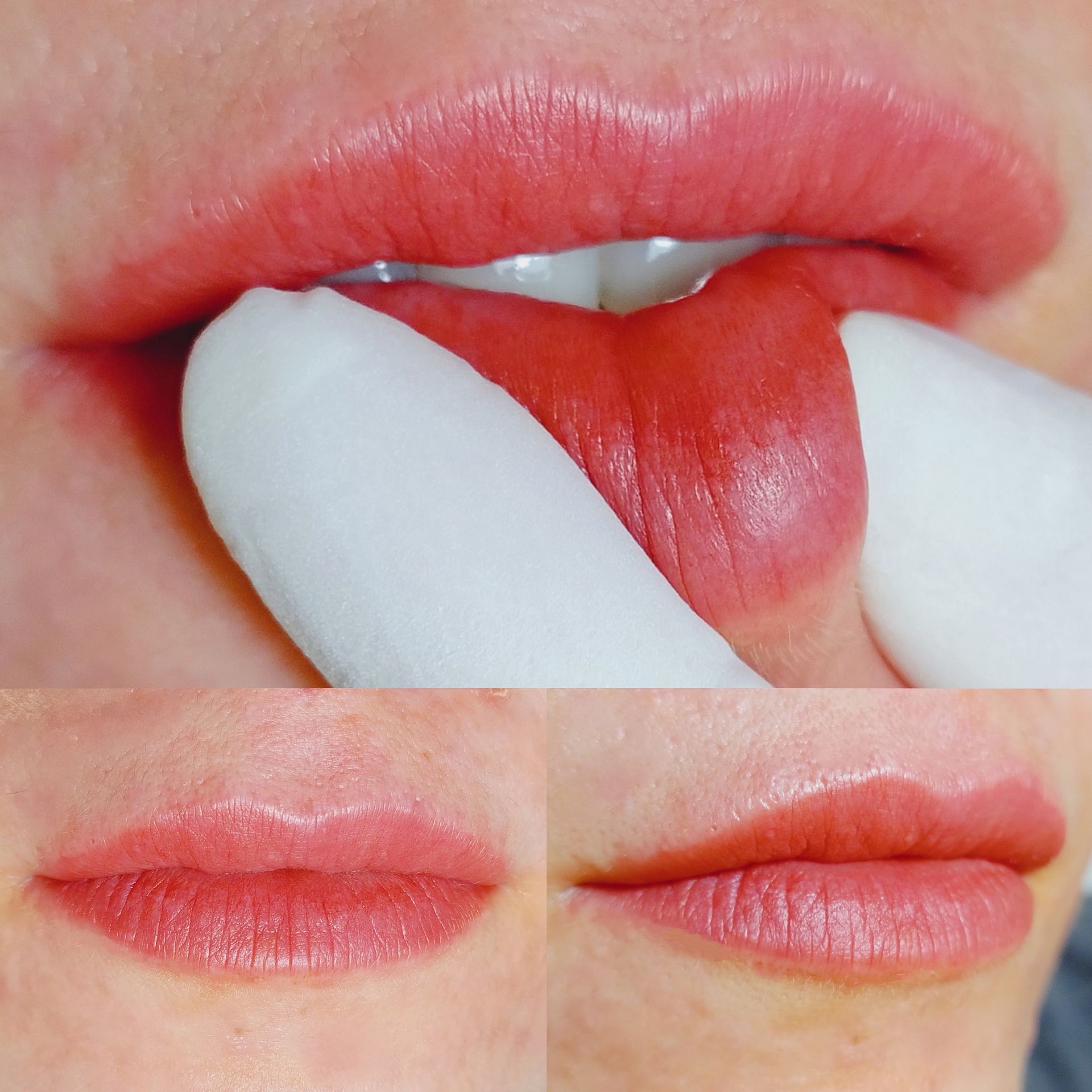 Micropigmentation des Lèvres (Lip Blush) - Melissa Medeiros - Mell Medeiros