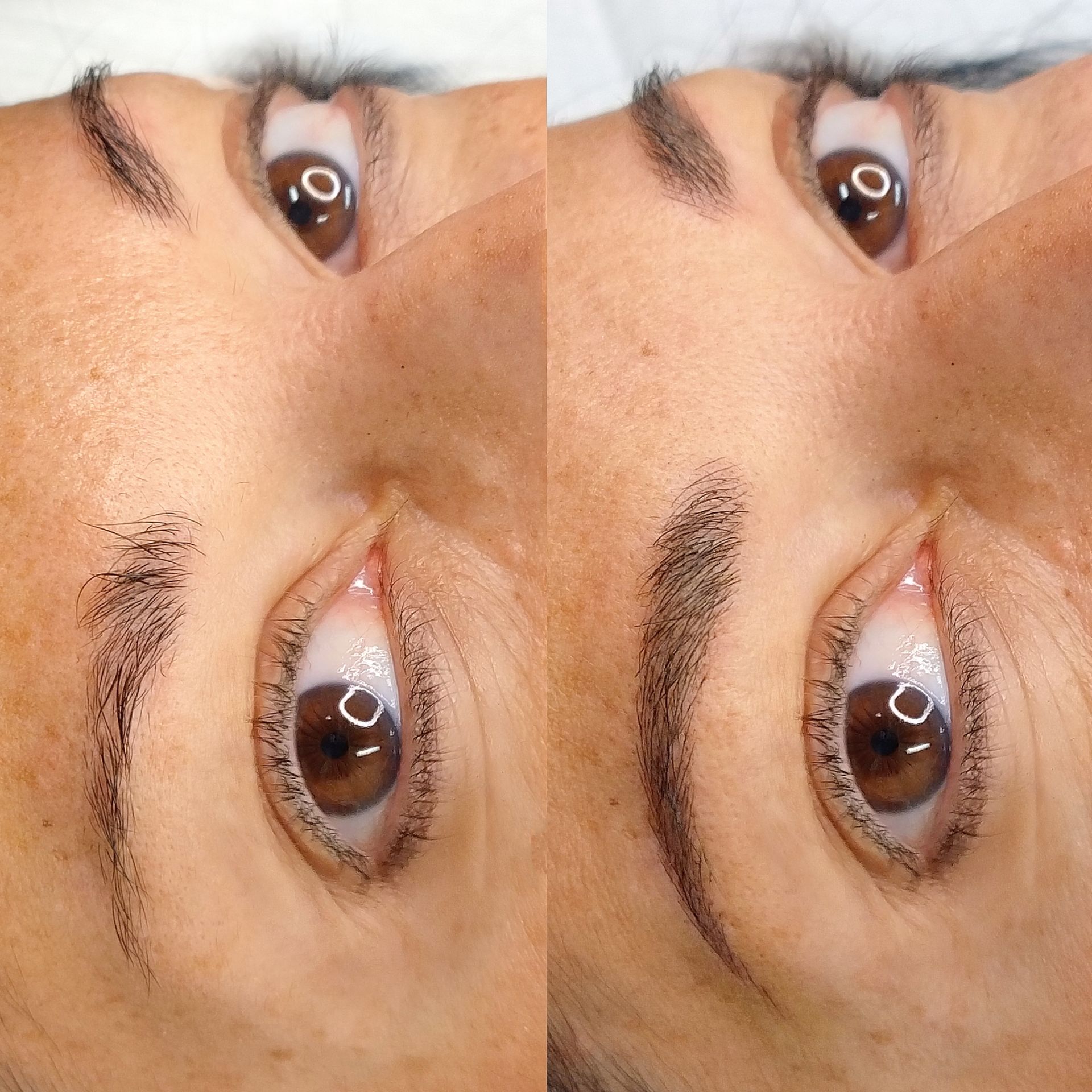 Technique Hybride - Melissa Medeiros - Mell Medeiros