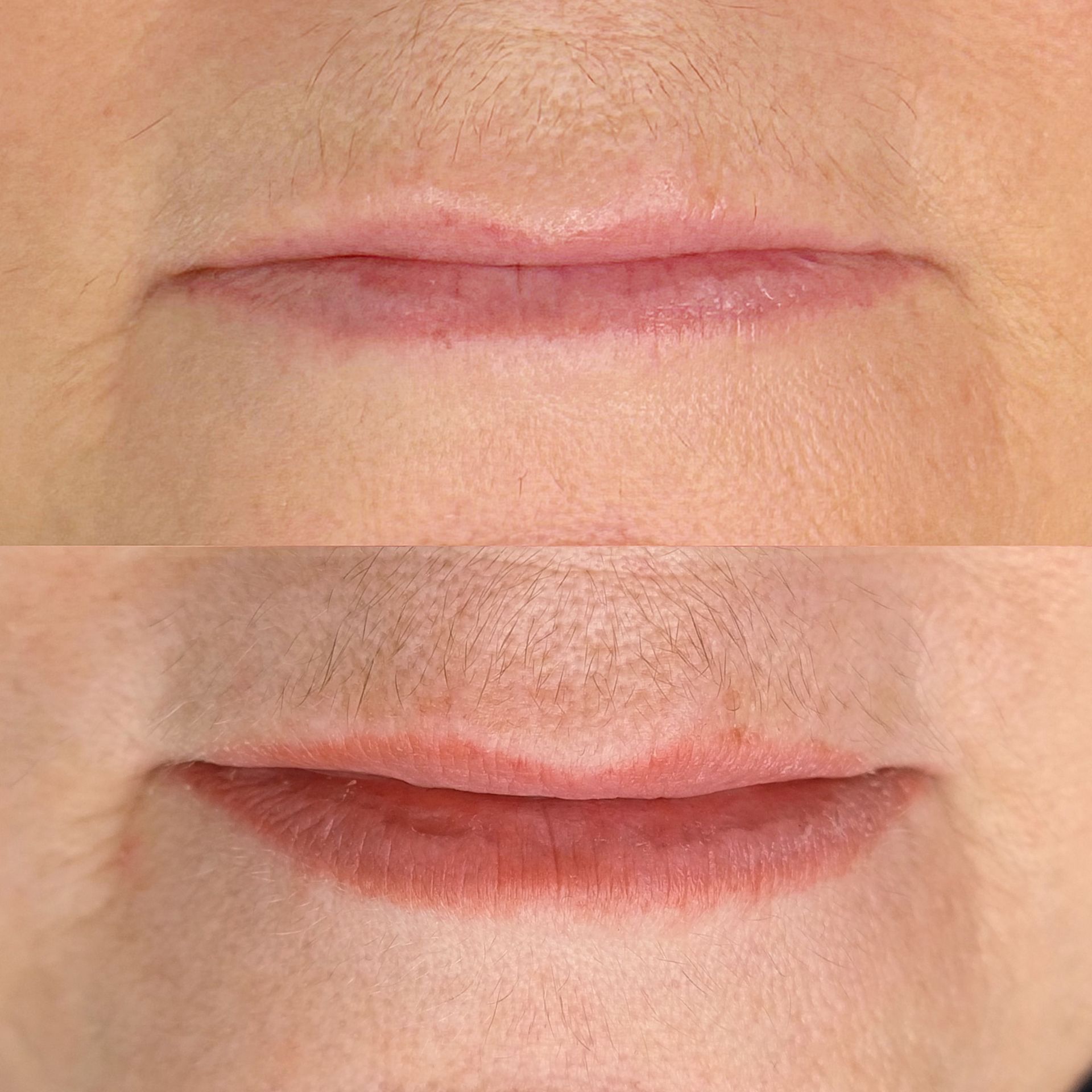 Micropigmentation desLèvres - Lip Blush - Melissa Medeiros - Mell Medeiros