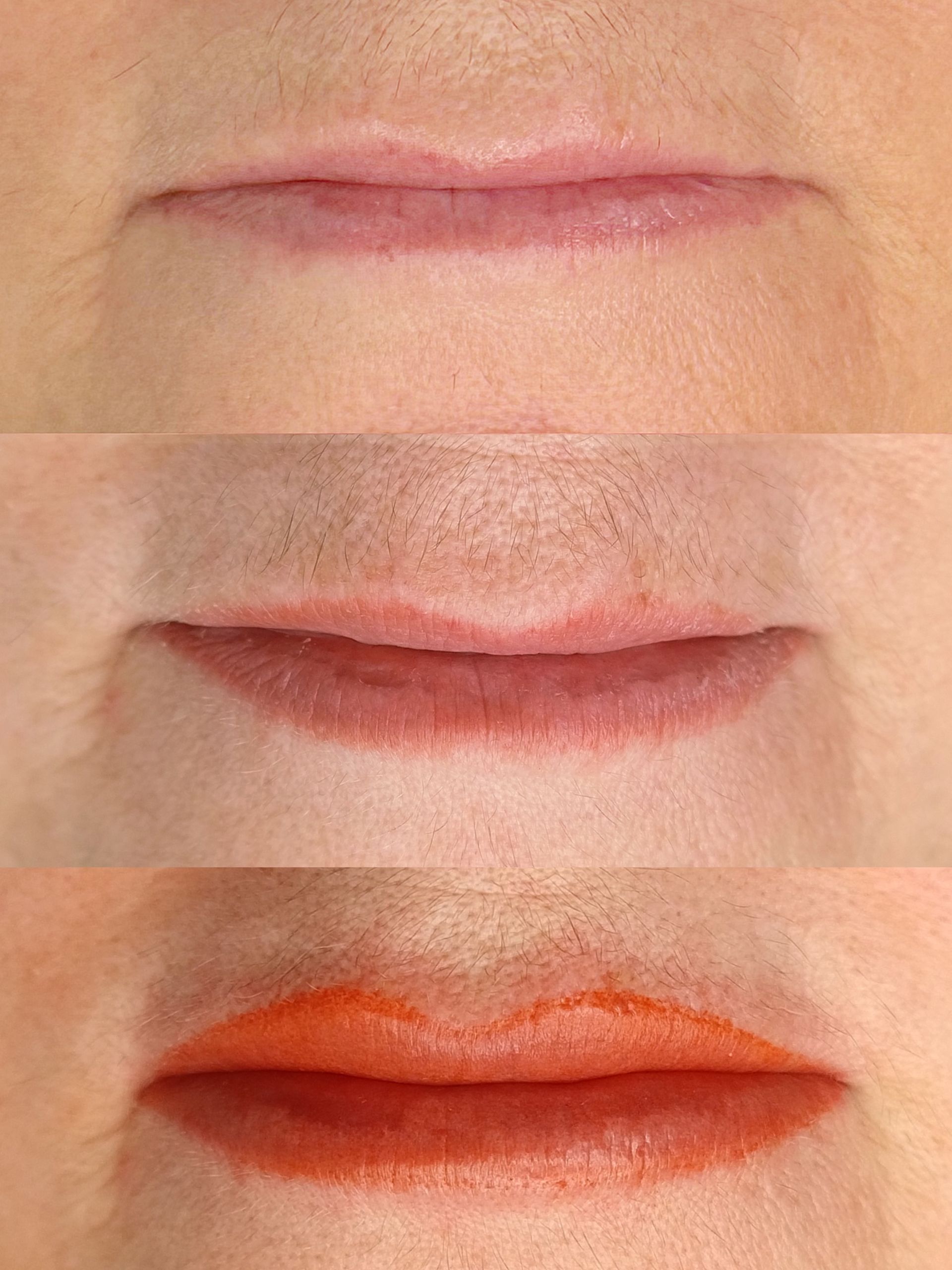 Micropigmentation desLèvres - Lip Blush - Melissa Medeiros - Mell Medeiros