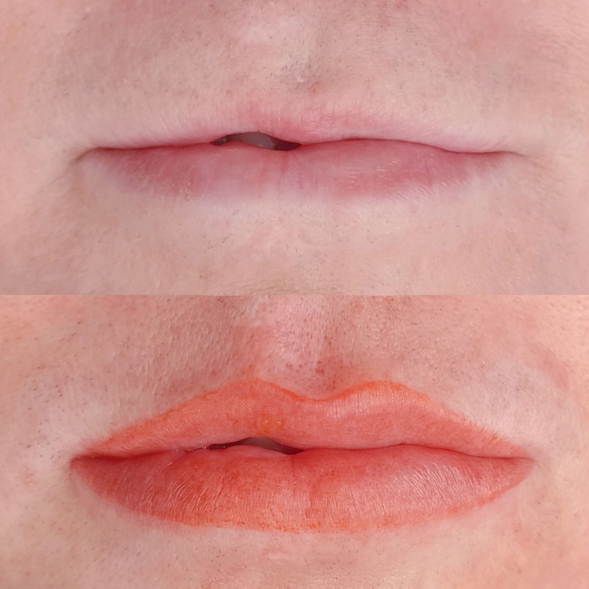 Micropigmentation desLèvres - Lip Blush - Melissa Medeiros - Mell Medeiros