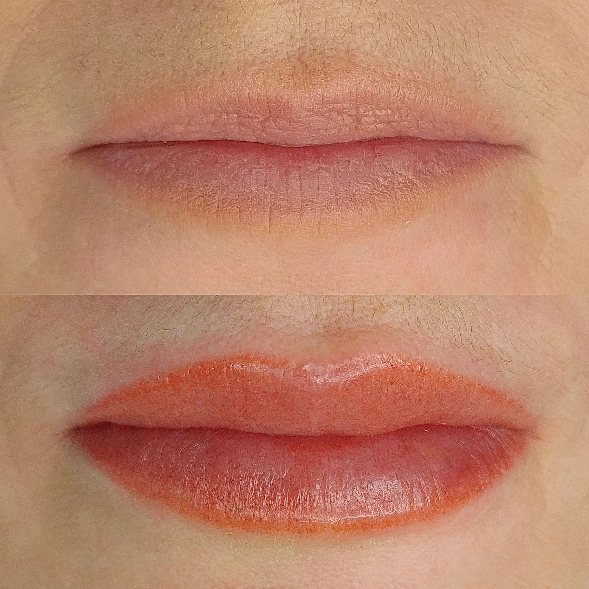 Micropigmentation des Lèvres - Lip Blush - Mélissa Medeiros - Mell Medeiros