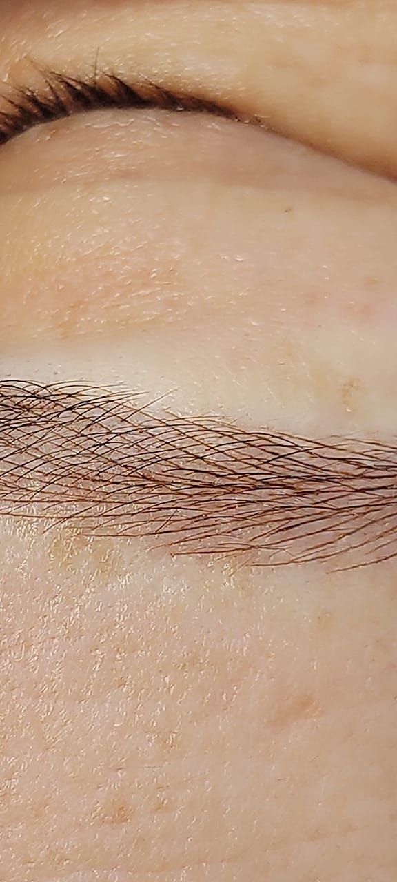 Microblading - Melissa Medeiros - Mell Medeiros