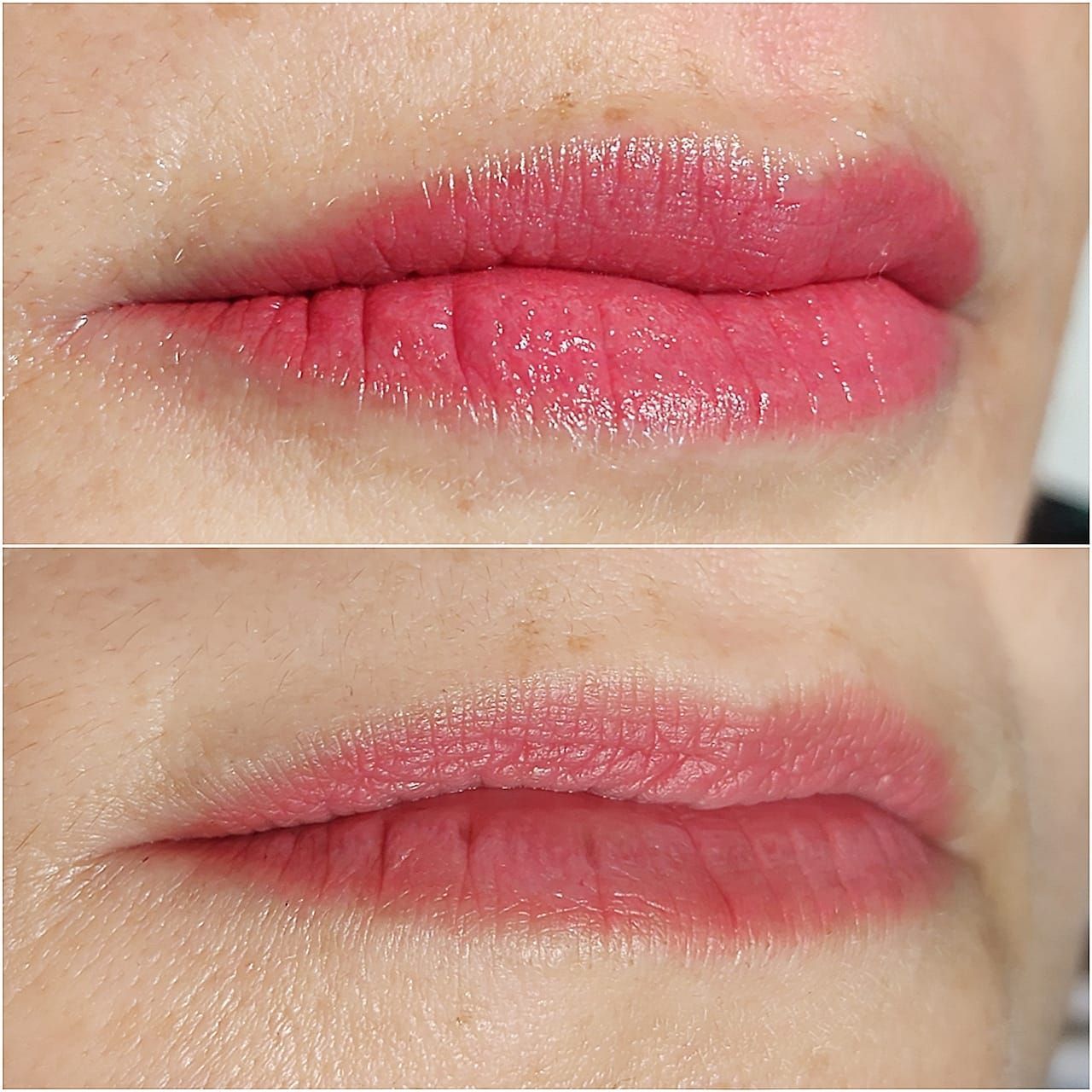 Micropigmentation des Lèvres (Lip Blush) - Melissa Medeiros - Mell Medeiros
