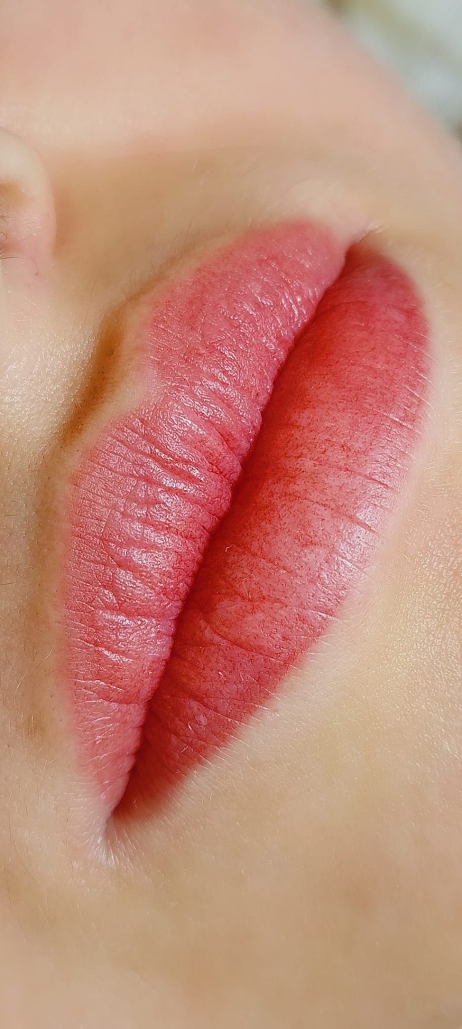 Micropigmentation des Lèvres (Lip Blush) - Melissa Medeiros - Mell Medeiros