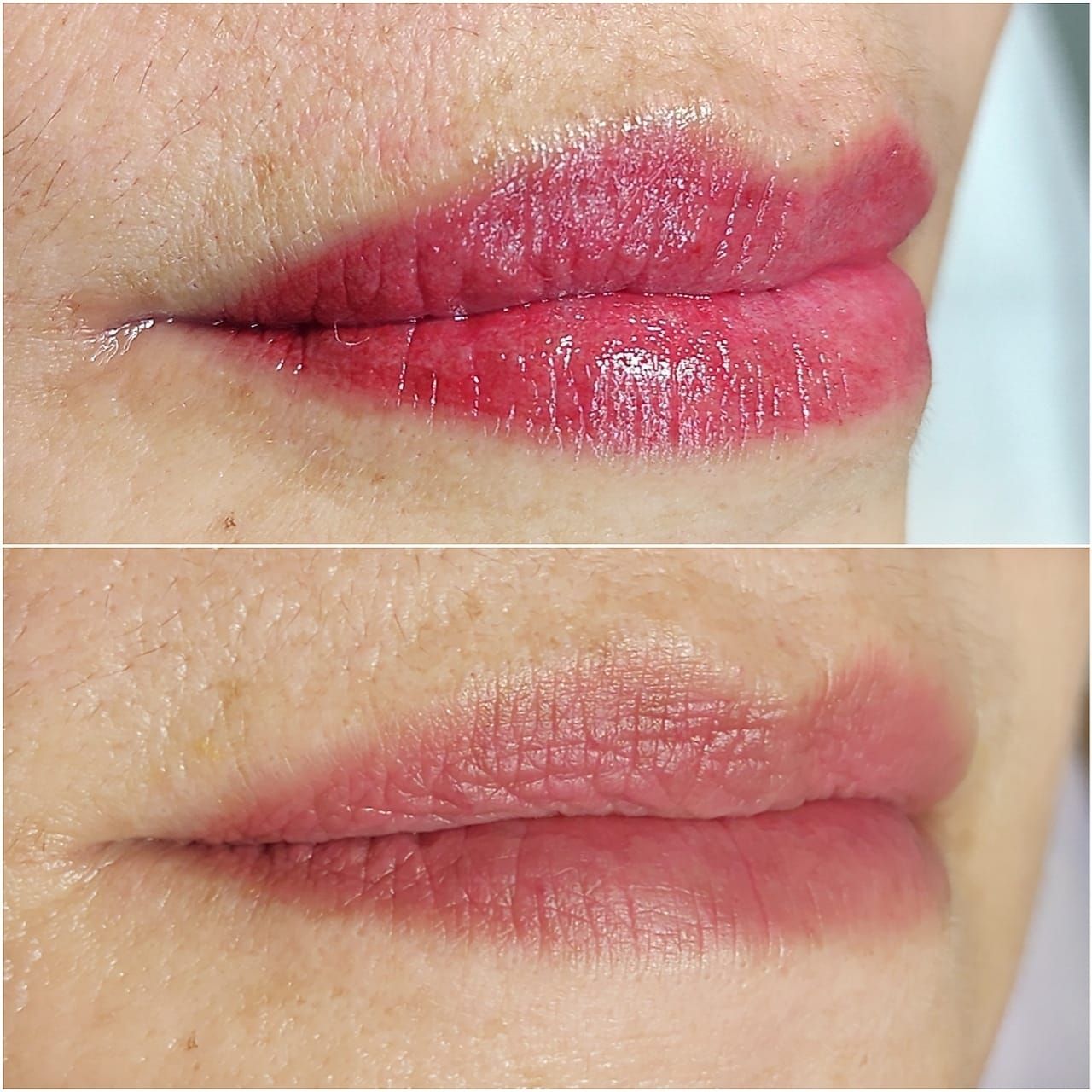 Micropigmentation des Lèvres (Lip Blush) - Melissa Medeiros - Mell Medeiros