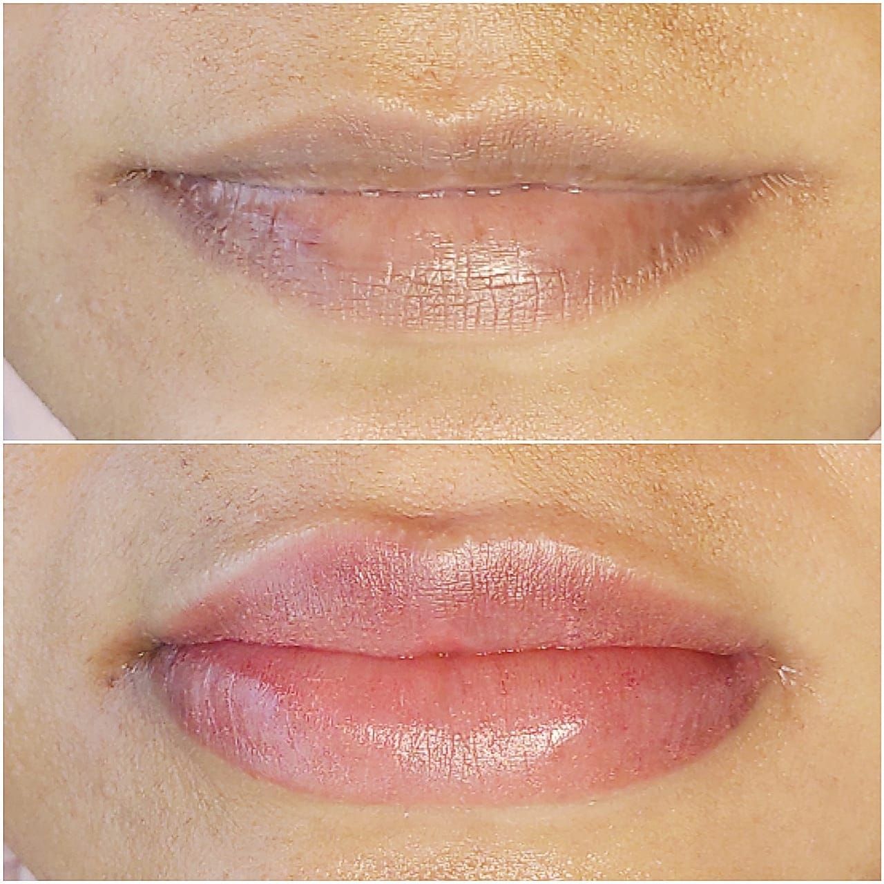 Micropigmentation des Lèvres (Lip Blush) - Melissa Medeiros - Mell Medeiros