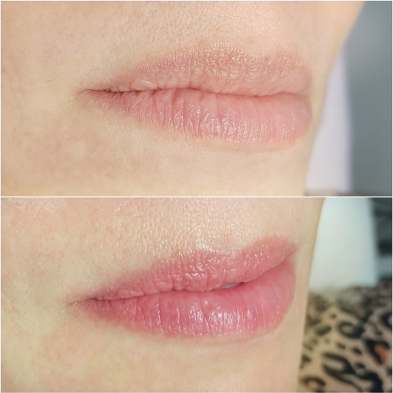 Micropigmentation des Lèvres (Lip Blush) - Melissa Medeiros - Mell Medeiros