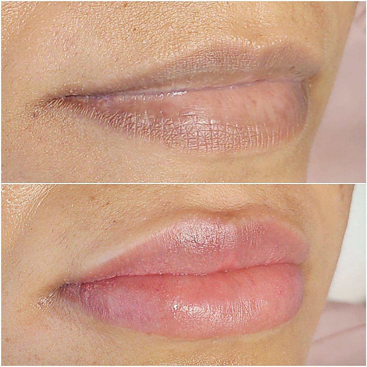 Micropigmentation des Lèvres (Lip Blush) - Melissa Medeiros - Mell Medeiros
