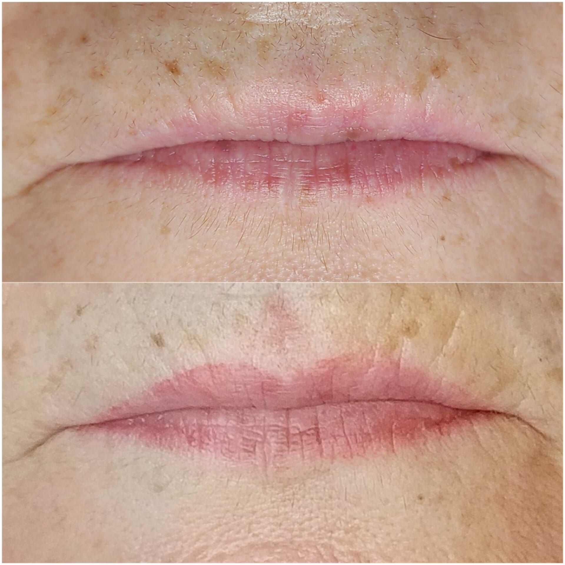 Micropigmentation des Lèvres (Lip Blush) - Melissa Medeiros - Mell Medeiros