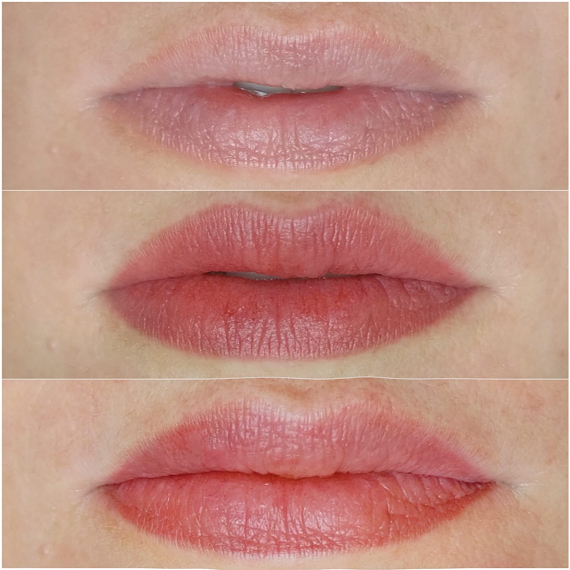 Micropigmentation des Lèvres (Lip Blush) - Melissa Medeiros - Mell Medeiros