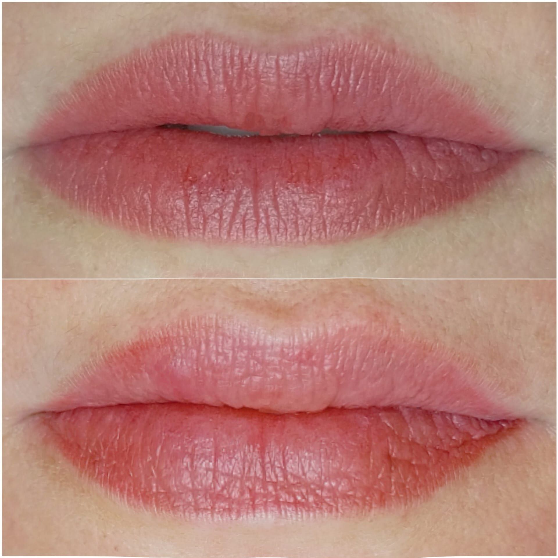 Micropigmentation des Lèvres (Lip Blush) - Melissa Medeiros - Mell Medeiros