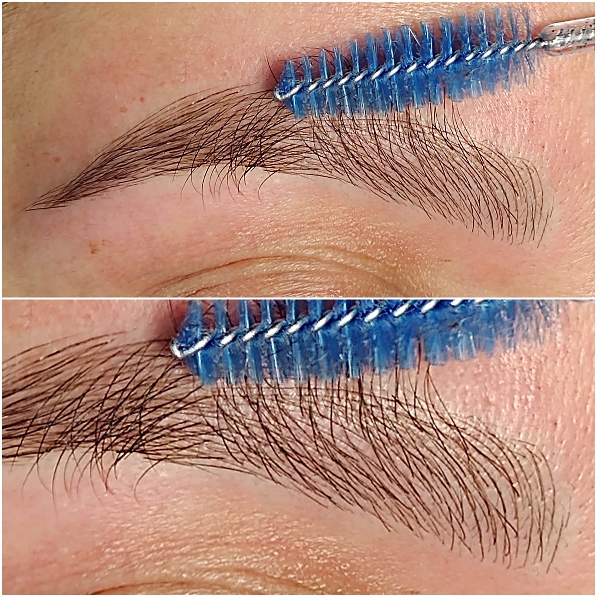 Microblading - Melissa Medeiros - Mell Medeiros