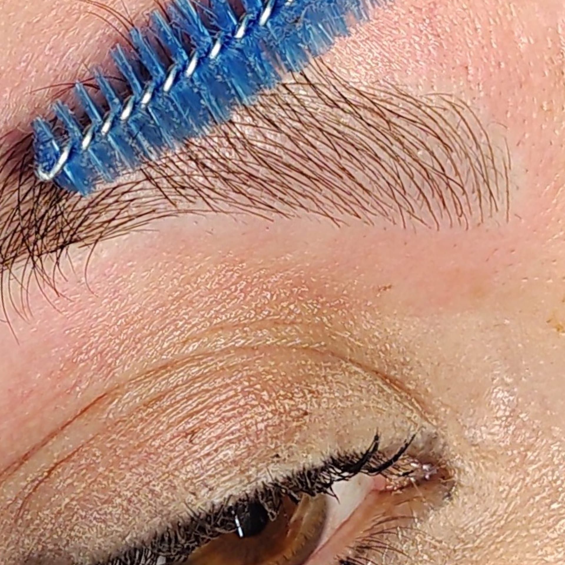 Microblading - Melissa Medeiros - Mell Medeiros