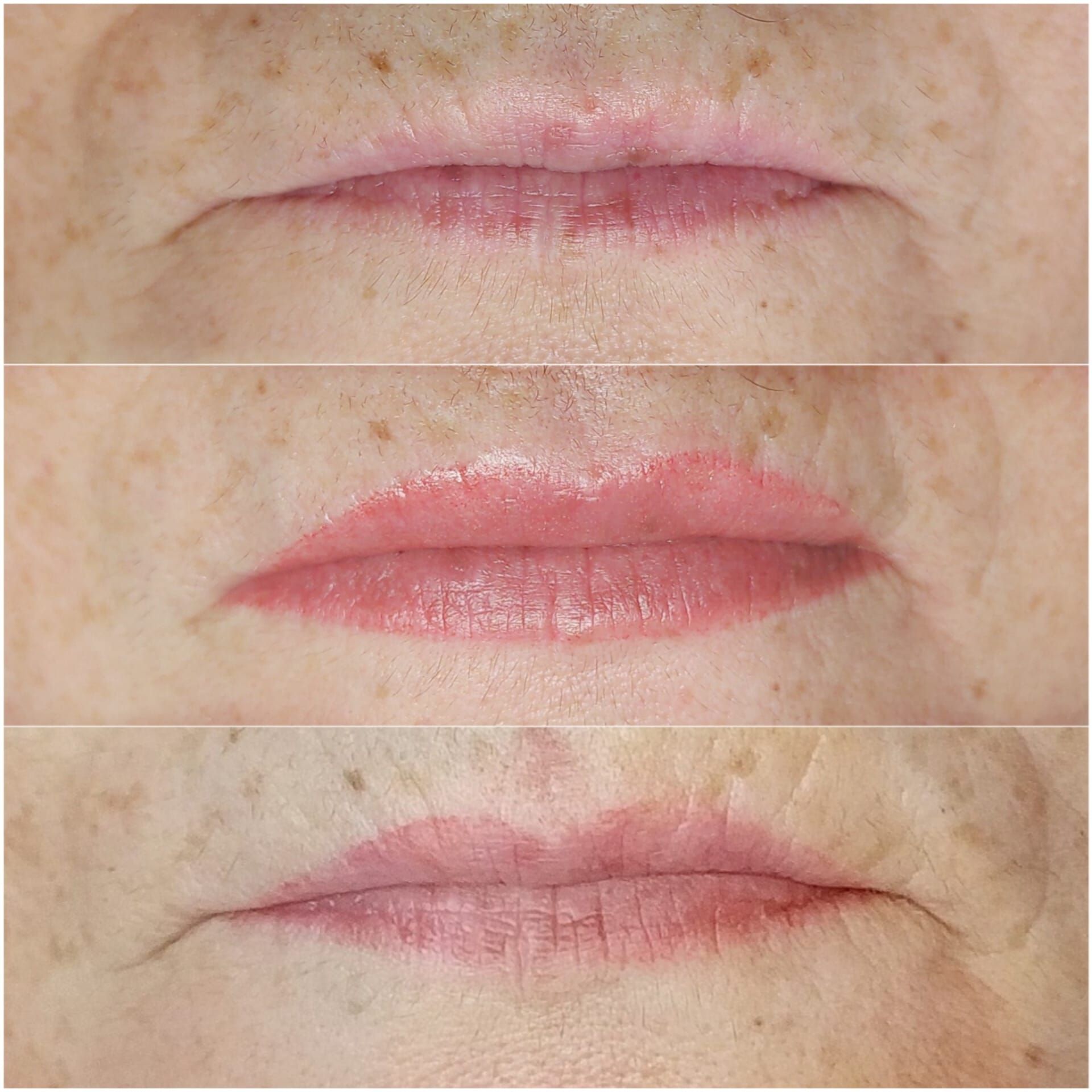 Micropigmentation des Lèvres (Lip Blush) - Melissa Medeiros - Mell Medeiros