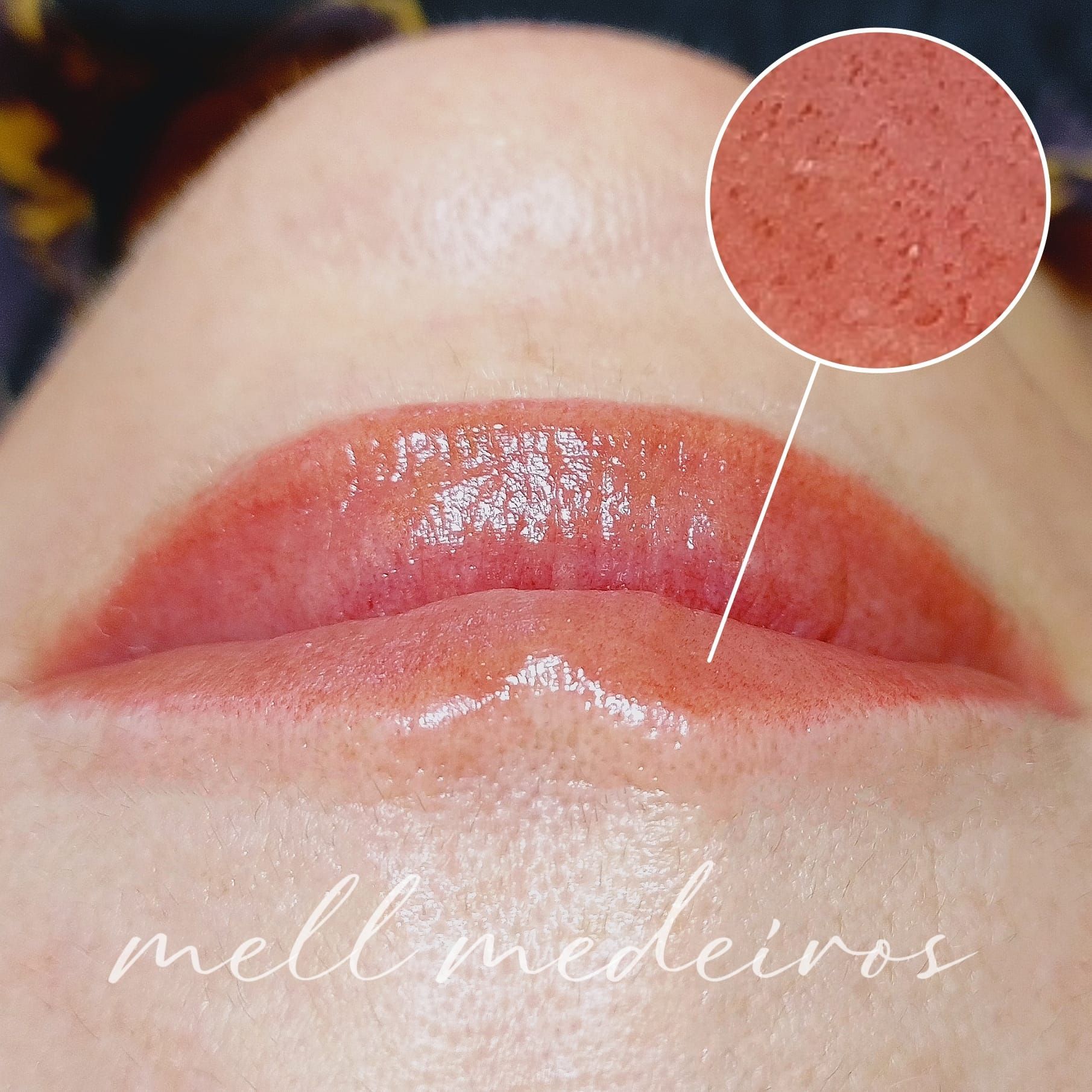Micropigmentation des Lèvres (Lip Blush) - Melissa Medeiros - Mell Medeiros