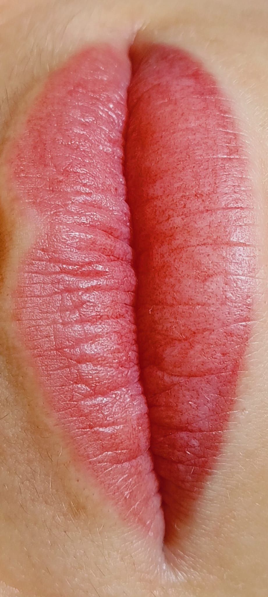 Micropigmentation des Lèvres (Lip Blush) - Melissa Medeiros - Mell Medeiros