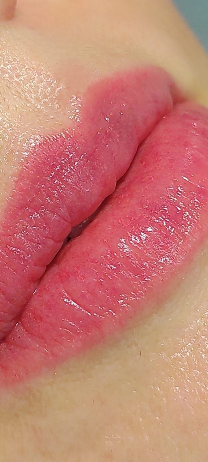 Micropigmentation des Lèvres (Lip Blush) - Melissa Medeiors - Mell Medeiros