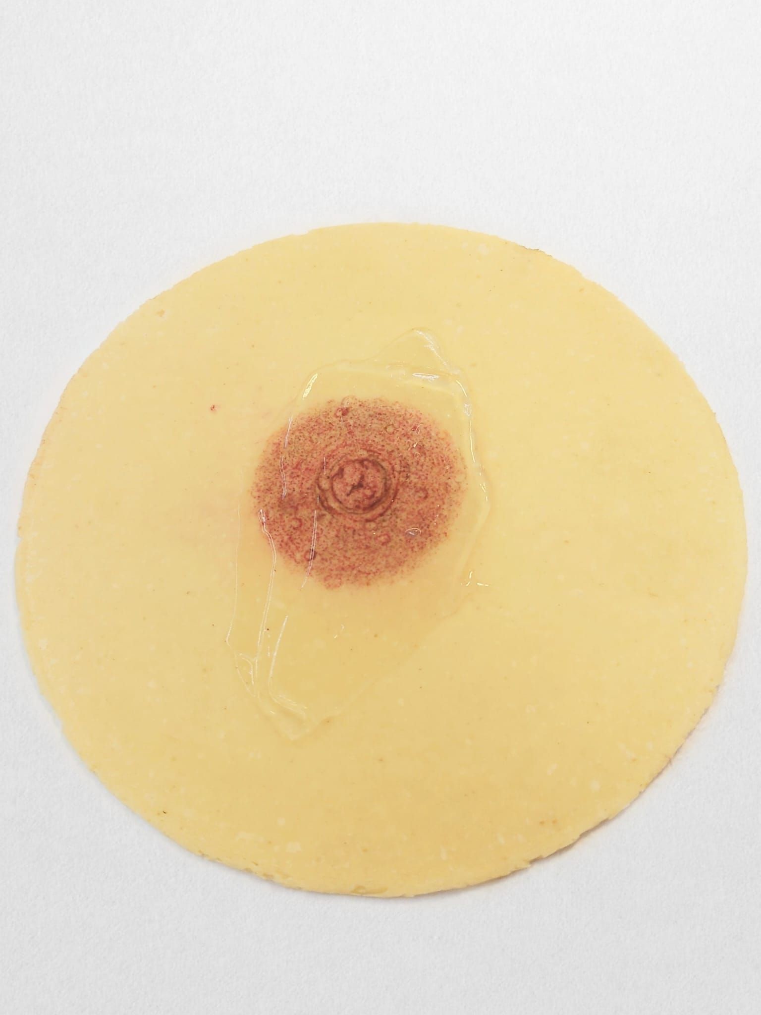 Reconstruction des Aréoles - Melissa Medeiros - Mell Medeiros