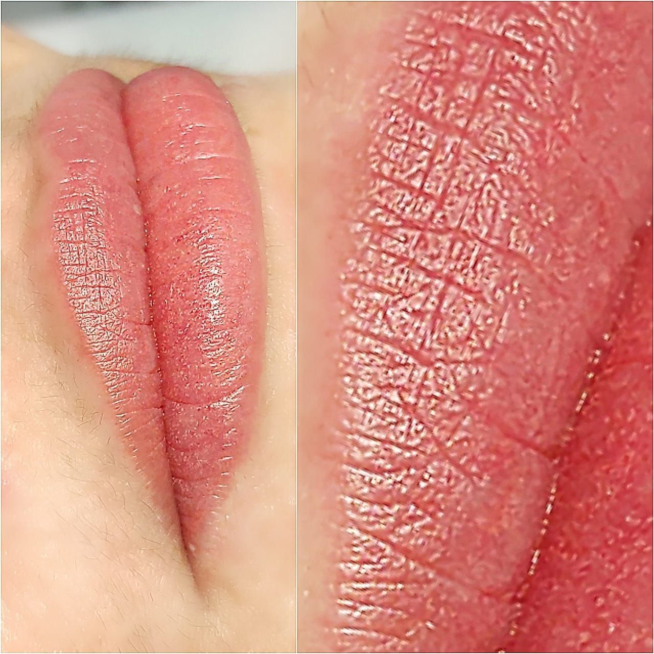 Micropigmentation des Lèvres (Lip Blush) - Melissa Medeiros - Mell Medeiros