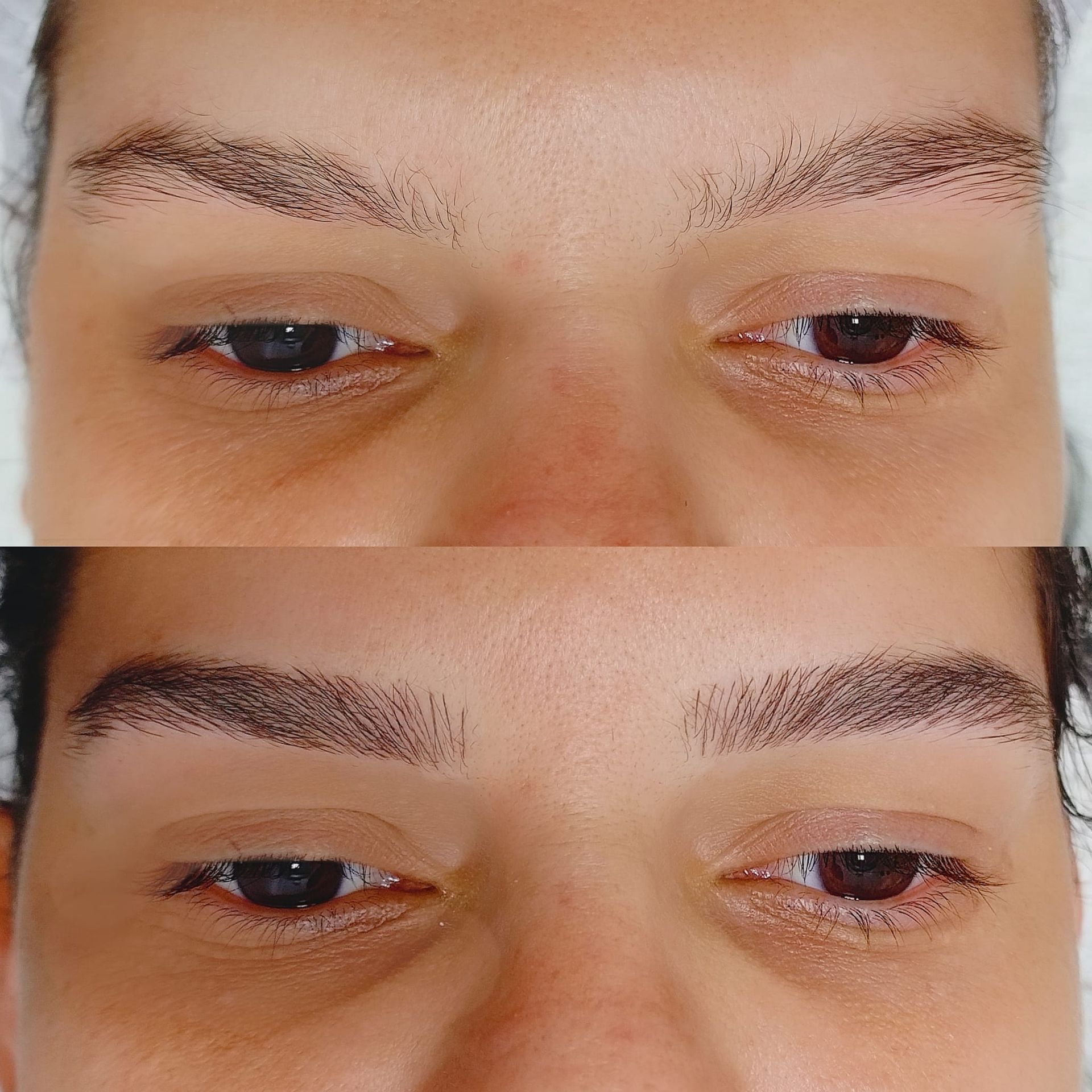 Nanoblading - Melissa Medeiros - Mell Medeiros