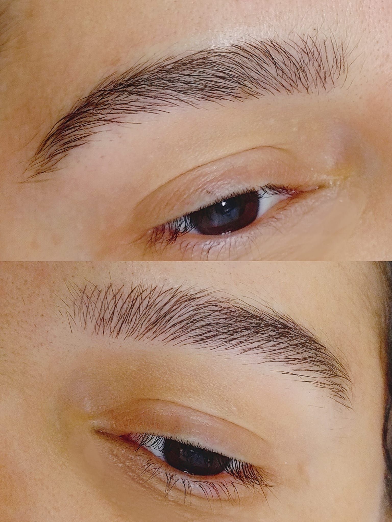 Nanoblading - Melissa Medeiros - Mell Medeiros