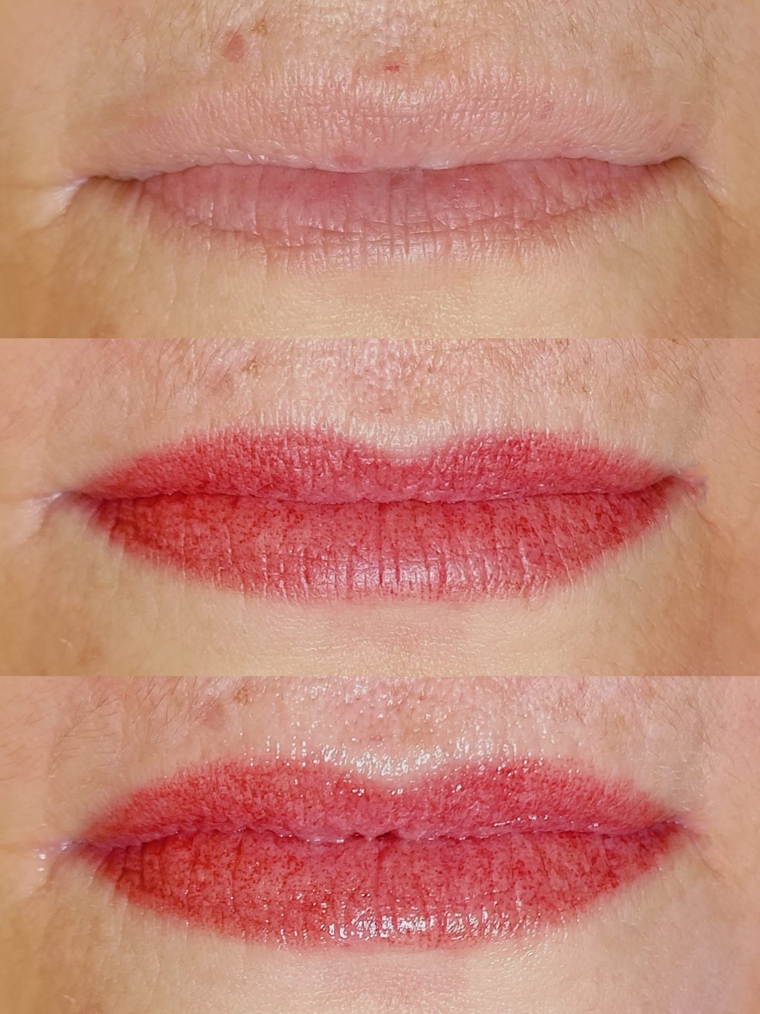 Micropigmentation des Lèvres (Lip Blush) - Melissa Medeiros - Mell Medeiros
