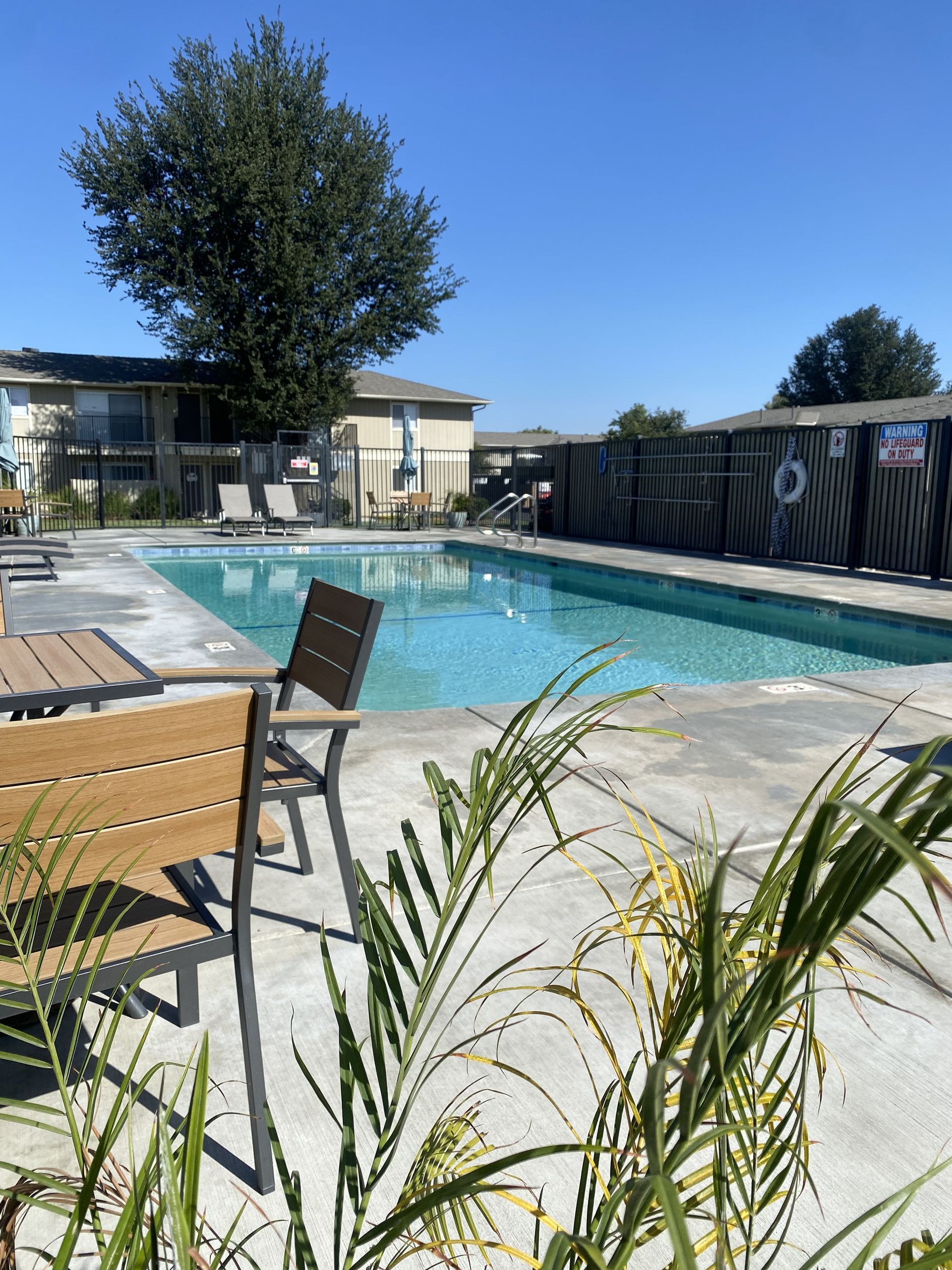 Pool with blue water and chairs on a sunny day. Apartment buildings are in the background.