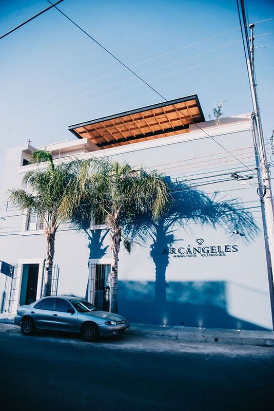 ANÁLISIS CLÍNICOS ARCANGELES