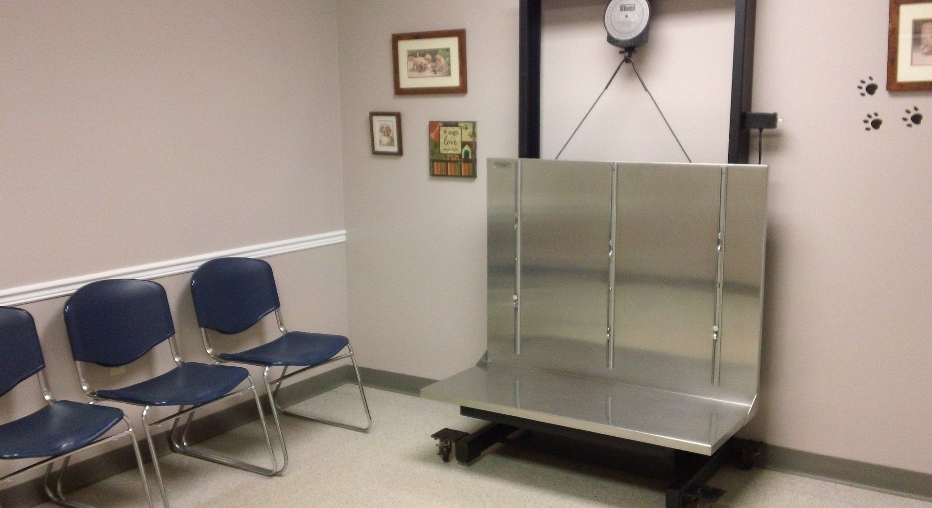 Large dog exam room - Animal Hospital in Griffith IN
