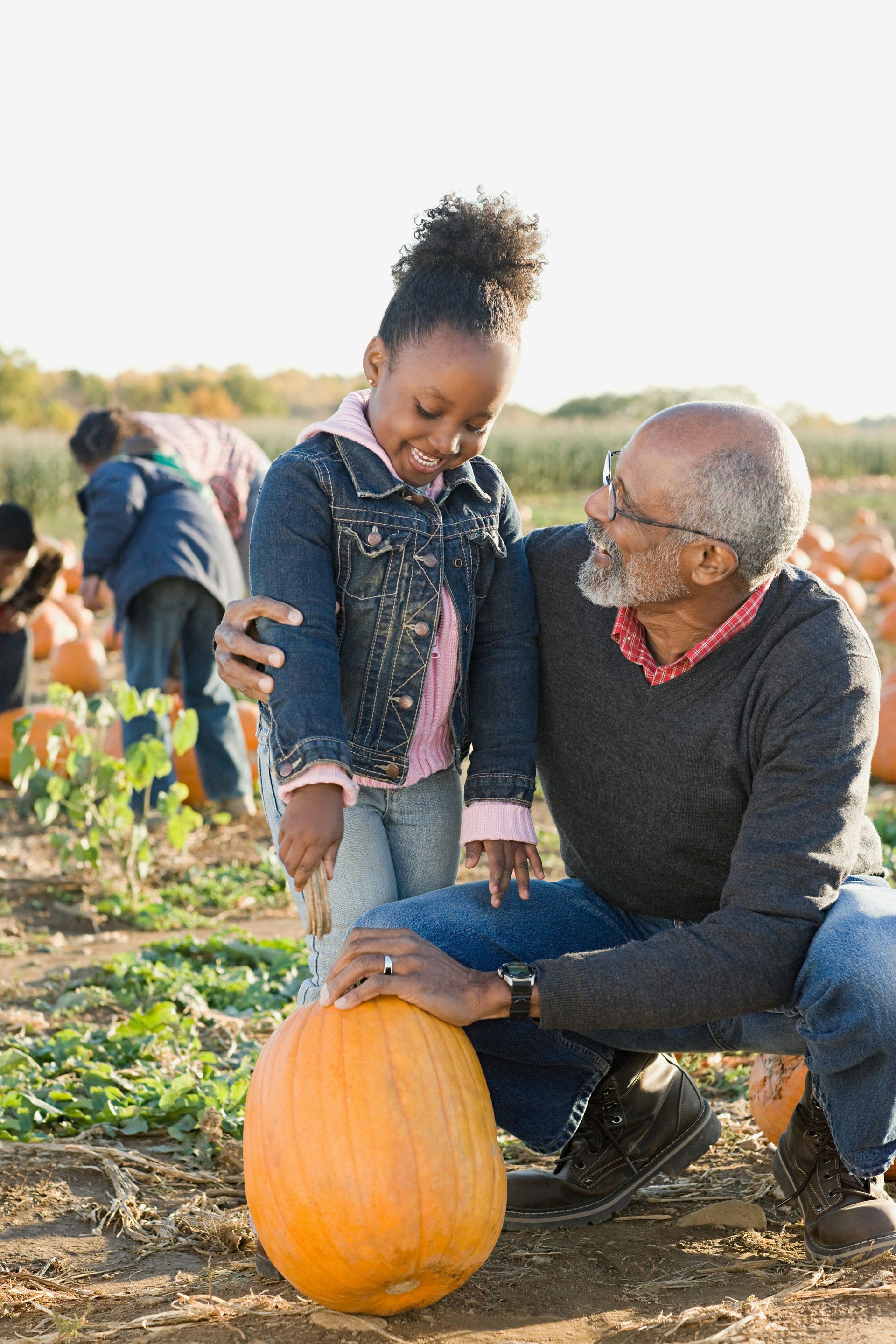 A man and a little girl are picking pumpkins in a pumpkin patch.