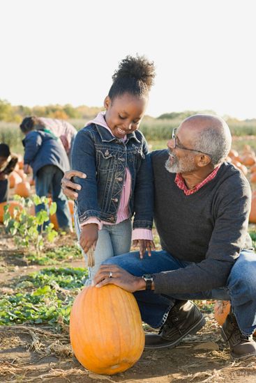A man and a little girl are picking pumpkins in a pumpkin patch.