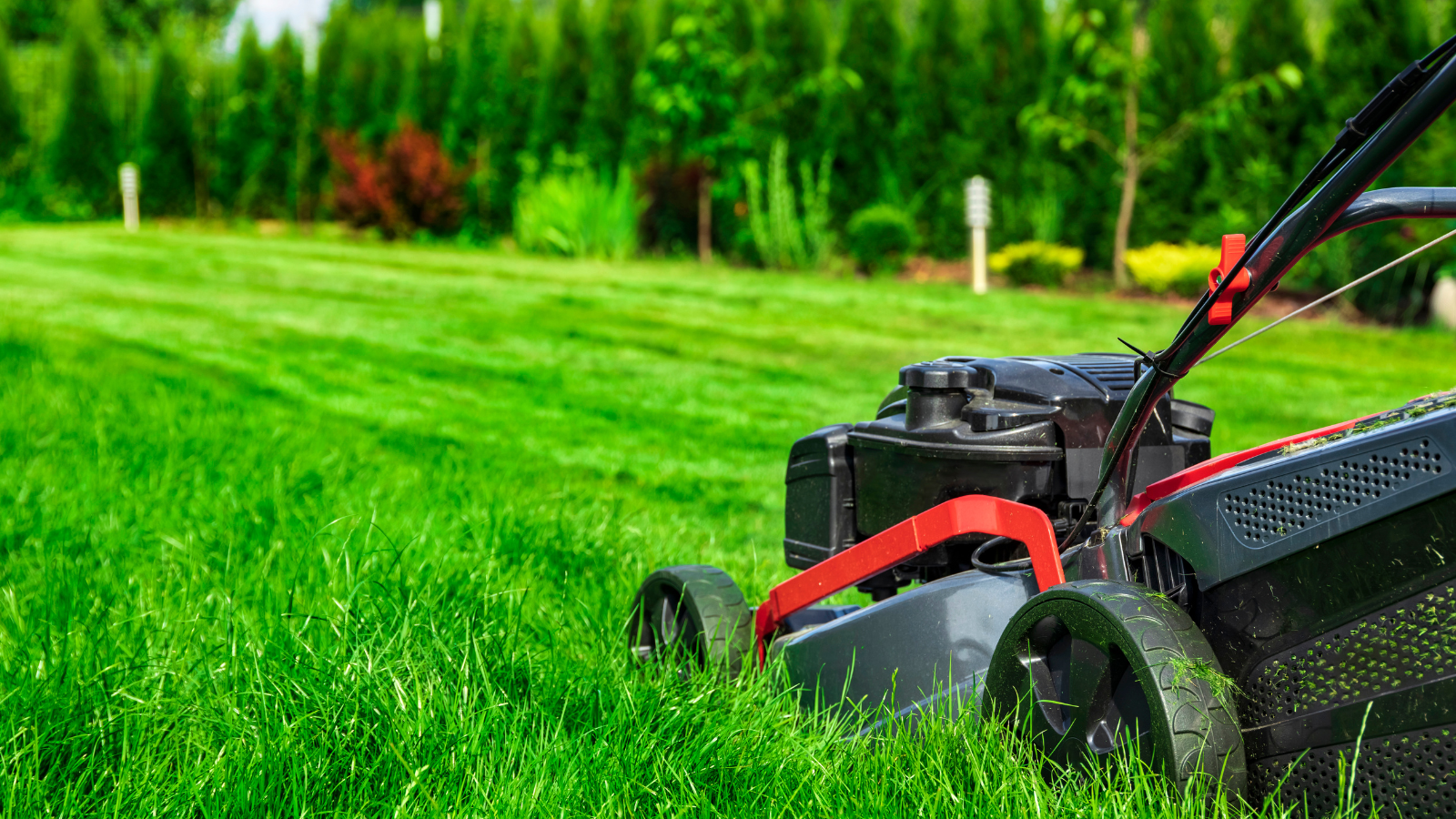 Lawn Care Waupaca