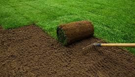 sod and turf installation