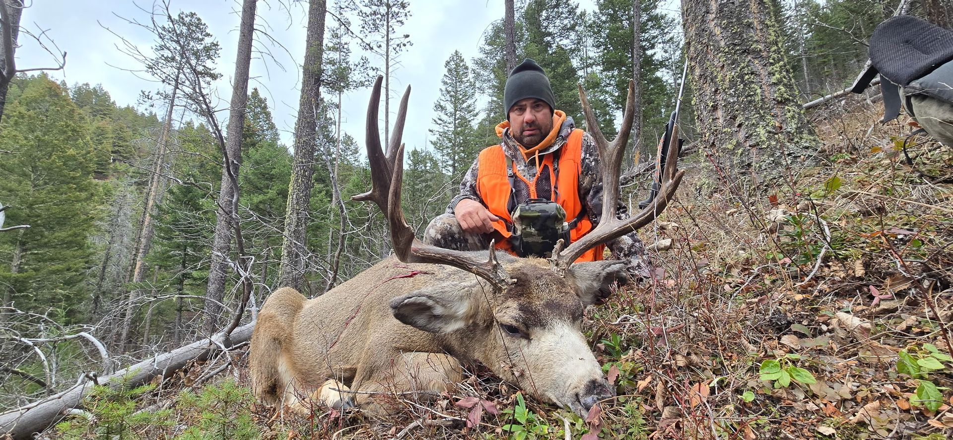 Hunter in orange vest with a large dead buck in forest setting.