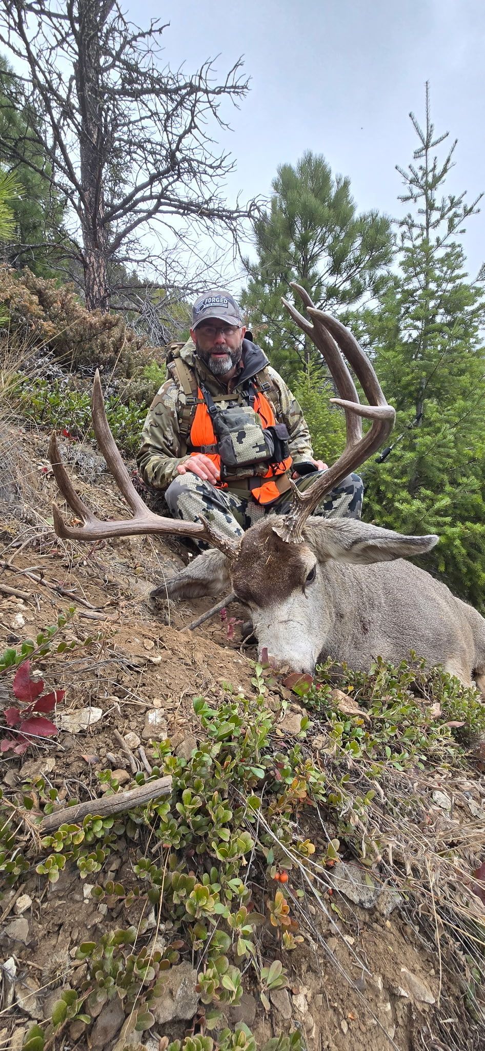 A hunter in camouflage and orange vest kneels next to a dead deer on a hillside.