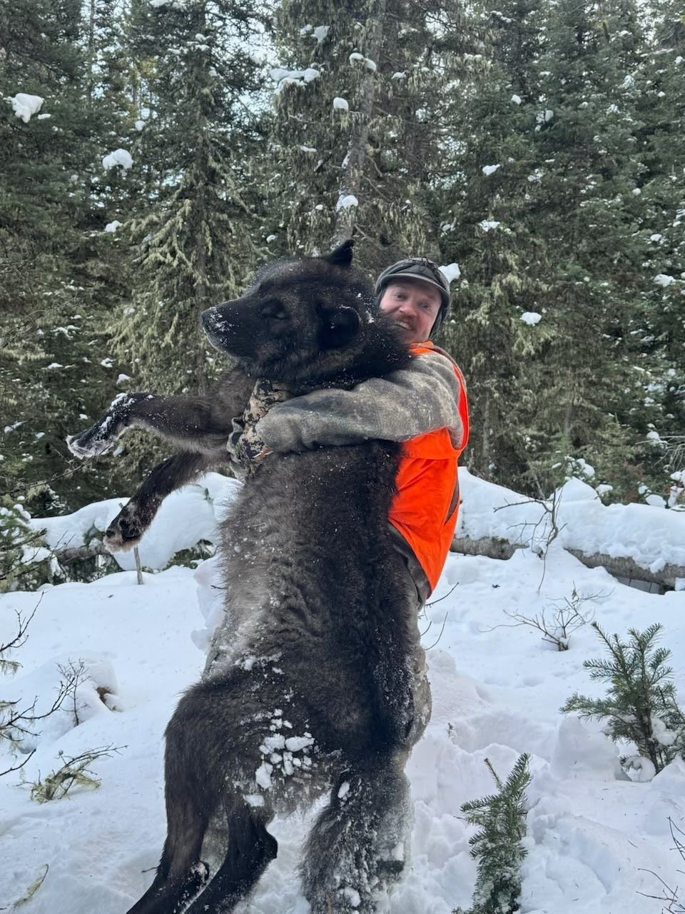 A man is hugging a large wolf in the snow.