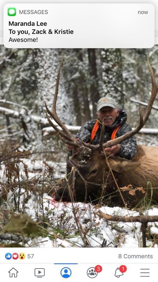 A man is standing next to a large elk in the snow.
