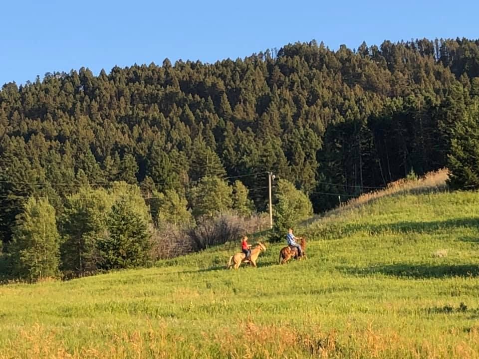 Two people riding horses in a grassy field with trees in the background