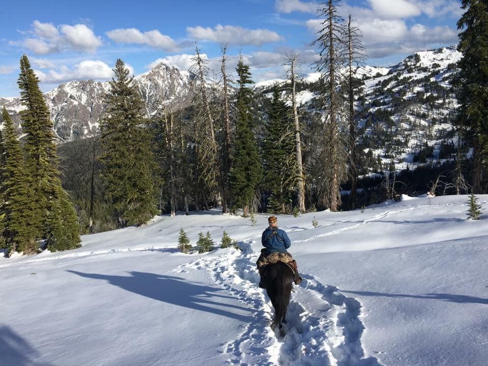 A person is riding a horse through the snow.