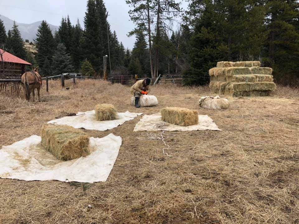 A man is standing in a field of hay bales.