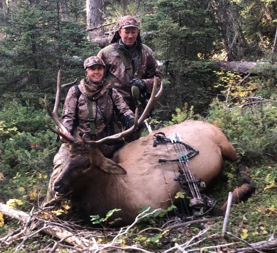 Two men are standing next to a large elk in the woods.