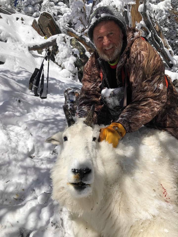 A man is laying on top of a white goat in the snow.